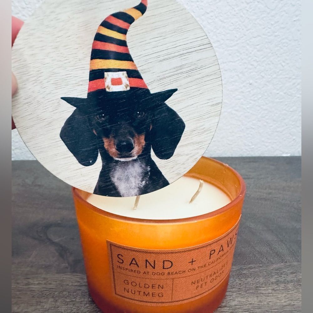 Halloween Dachshund Witch Dog Golden Nutmeg Sand + Paws Jar Candle